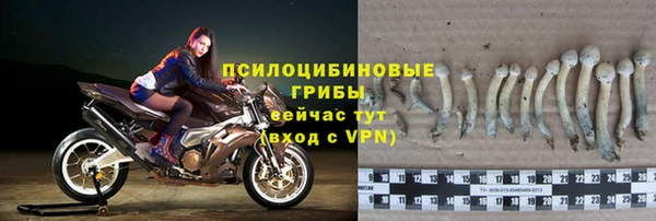 круглые Абаза