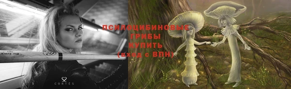 герыч Алексин