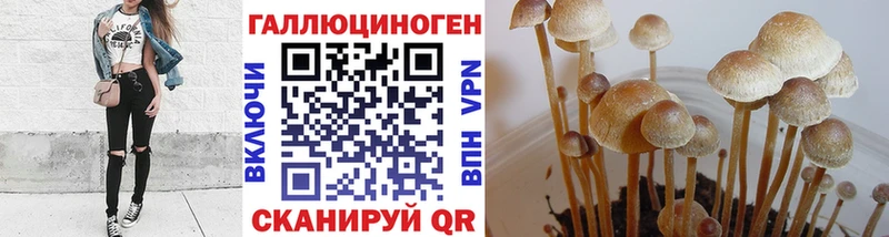 Галлюциногенные грибы ЛСД  дарк нет наркотические препараты  Ржев  купить закладку 